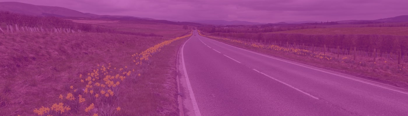 Feriados Noviembre 2025