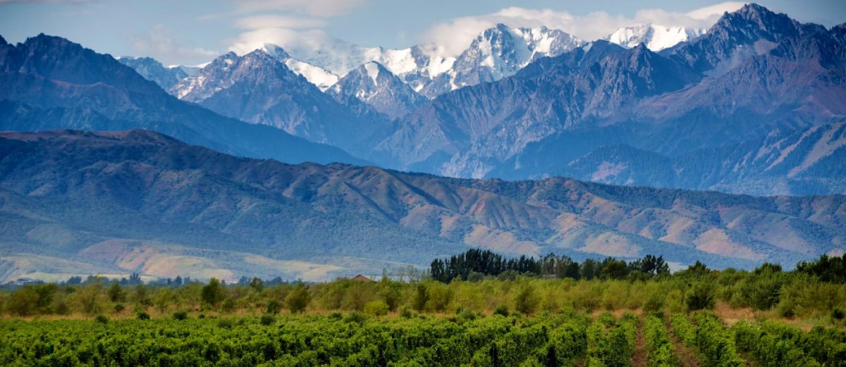 Pasajes en micro de Córdoba a Mendoza