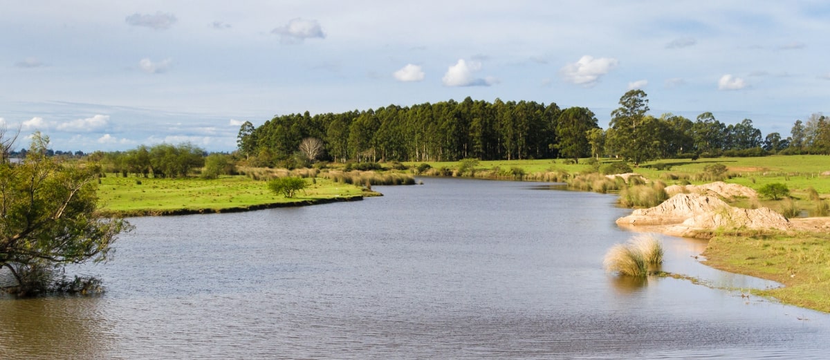 Pasajes en micro a Federación